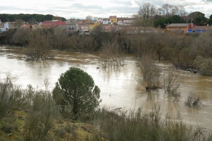 Crecida del río Adaja por Valdestillas