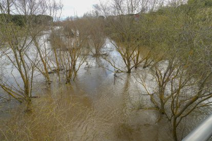 Crecida del río Adaja por Valdestillas