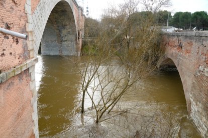 Crecida del río Adaja por Valdestillas