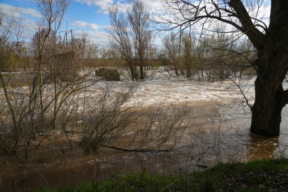 Crecida del río Duero por San Miguel del Pino