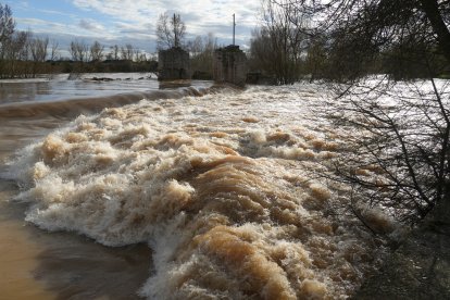 Crecida del río Duero por San Miguel del Pino