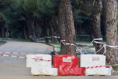 Acondicionamiento de los aparcamientos de FASA en el pinar.