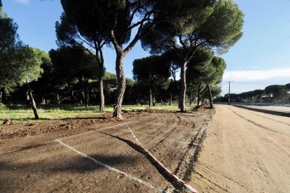 Acondicionamiento de los aparcamientos de FASA en el pinar.
