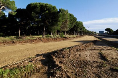 Acondicionamiento de los aparcamientos de FASA en el pinar.