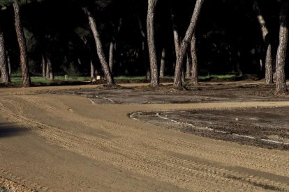 Acondicionamiento de los aparcamientos de FASA en el pinar.