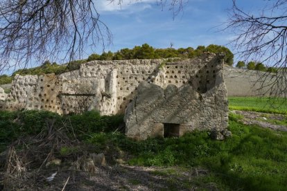  Palomar abandonado en Wamba