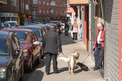 La calle de la Mota de Valladolid.