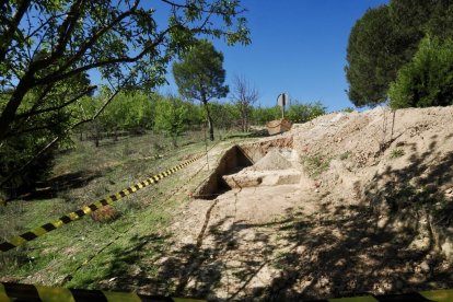 Zona arqueológica del cerro de las Contiendas para la extracción del fósil.