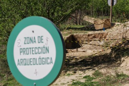 Zona arqueológica del cerro de las Contiendas para la extracción del fósil.