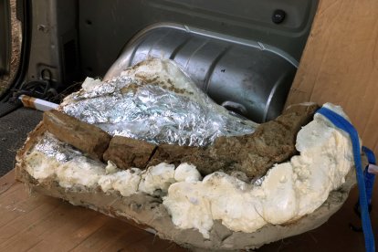 Restos de los dos colmillos de un mastodonte de la época terciaria