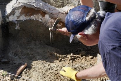 Restos de los dos colmillos de un mastodonte de la época terciaria