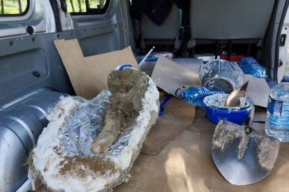 Restos de los dos colmillos de un mastodonte de la época terciaria