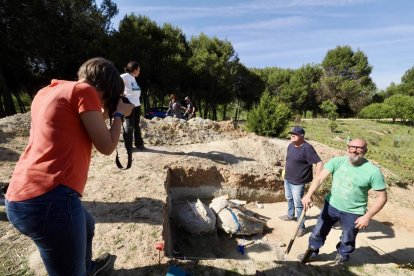 Restos de los dos colmillos de un mastodonte de la época terciaria