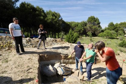 Restos de los dos colmillos de un mastodonte de la época terciaria