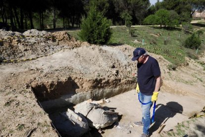 Restos de los dos colmillos de un mastodonte de la época terciaria