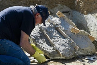 Restos de los dos colmillos de un mastodonte de la época terciaria