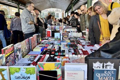 Día del Libro en Valladolid