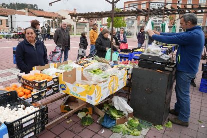 Mercadillo semanal en el Parque de la Plaza de Toros.