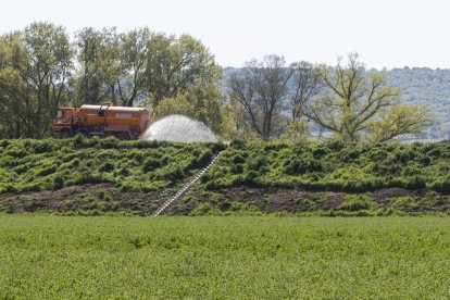 Obras de la autovia A11 en el tramo de Tudela de Duero.