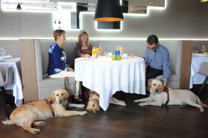 Las cinco horas que estremecieron a Valladolid por el apagón masivo.