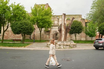Plaza de San Andres con La Olma