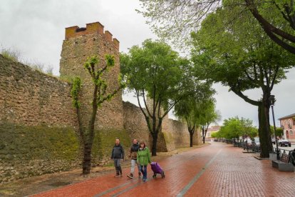 Muralla que perfila el casco histórico de Olmedo.