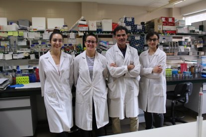 Parte del equipo de investigación