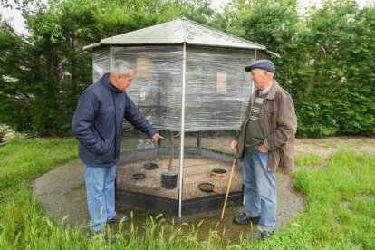 Juan Luis Garrido con Mariano Gutiérrez en la pajarera de la Plaza Del Castillo