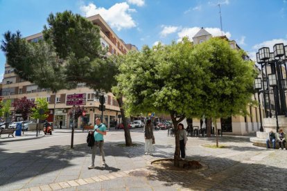 Calle Torrecilla en la actualidad.
