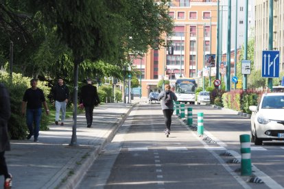 Obras del carril bici del paseo de Isabel la Católica en Valladolid.
