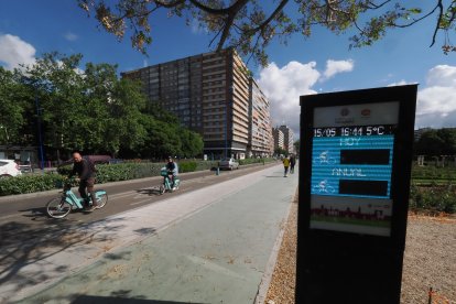 Obras del carril bici del paseo de Isabel la Católica en Valladolid.