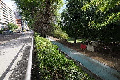 Obras del carril bici del paseo de Isabel la Católica en Valladolid.