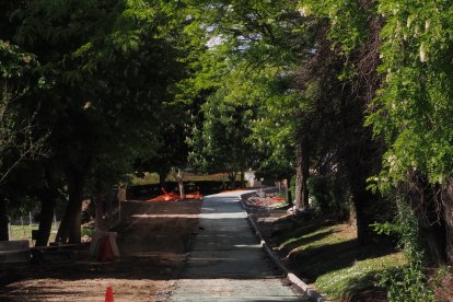 Obras del carril bici del paseo de Isabel la Católica en Valladolid.