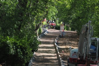 Obras del carril bici del paseo de Isabel la Católica en Valladolid.