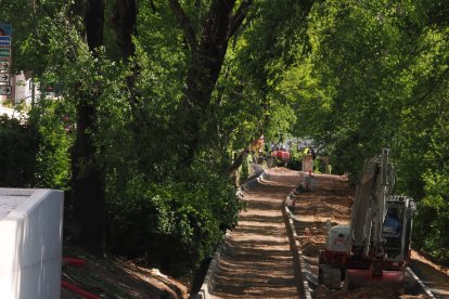 Obras del carril bici del paseo de Isabel la Católica en Valladolid.