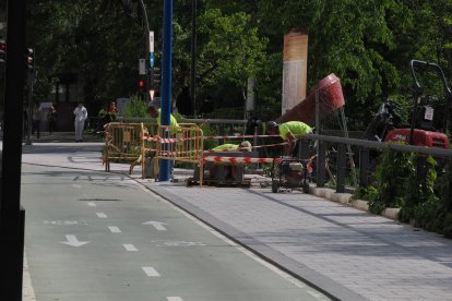 Obras del carril bici del paseo de Isabel la Católica en Valladolid.