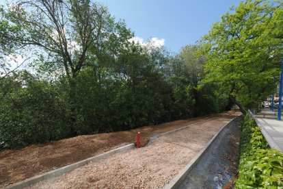 Obras del carril bici del paseo de Isabel la Católica en Valladolid.