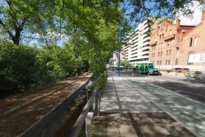 Obras del carril bici del paseo de Isabel la Católica en Valladolid.