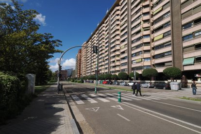 Obras del carril bici del paseo de Isabel la Católica en Valladolid.