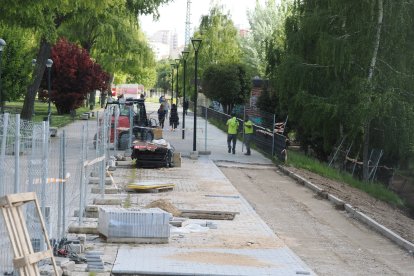 Obras del carril bici del paseo de Isabel la Católica en Valladolid.