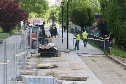 Obras del carril bici del paseo de Isabel la Católica en Valladolid.