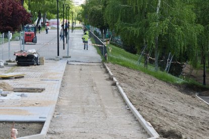Obras del carril bici del paseo de Isabel la Católica en Valladolid.