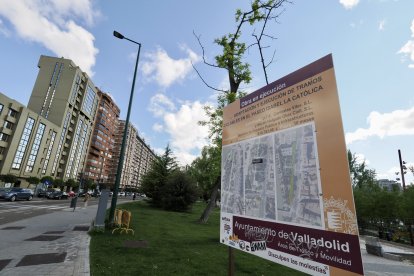 Obras del carril bici del paseo de Isabel la Católica en Valladolid.