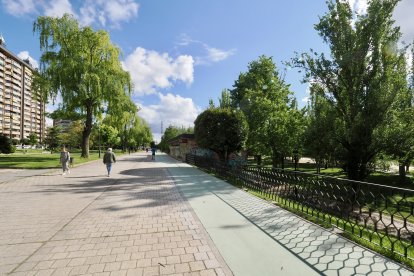 Obras del carril bici del paseo de Isabel la Católica en Valladolid.