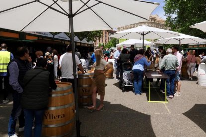De pinchos y vinos en la Acera de Recoletas por el evento 'Vino + Tapas'