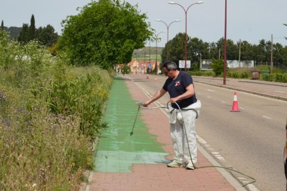 Carril bici de Zaratán