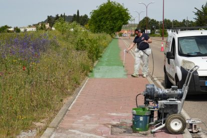 Carril bici de Zaratán
