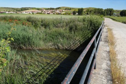 Río Esgueva a su paso por Fombellida.
