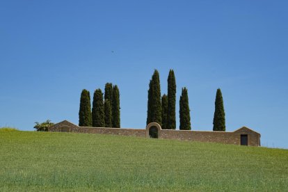 Cementerio de Fombellida.