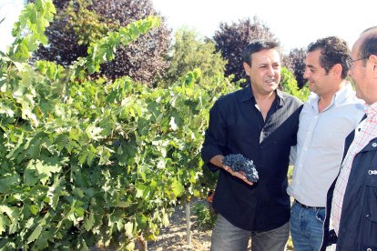 El periodista José Ribagorda oficia como padrino de la primera edición de la Vendimia 2011 en los viñedos de la Bodega Dehesa de los Canónigos.
